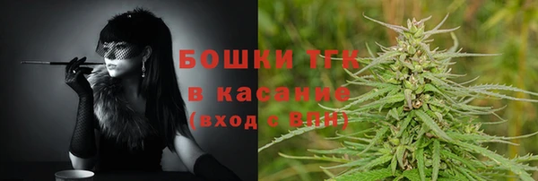 соль ск Алзамай